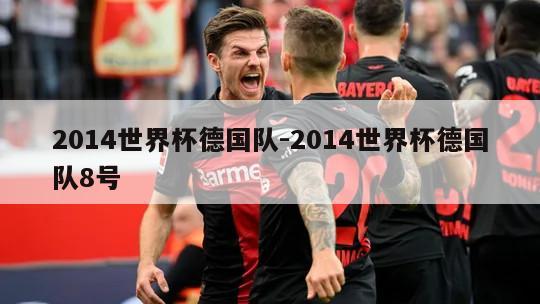 2014世界杯德国队-2014世界杯德国队8号